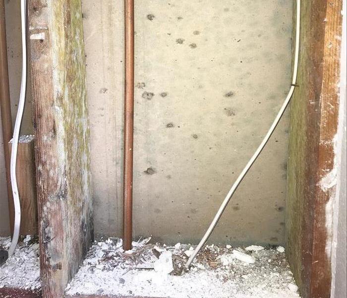 Interior of a wall that has mold growing in the form of small black spots.